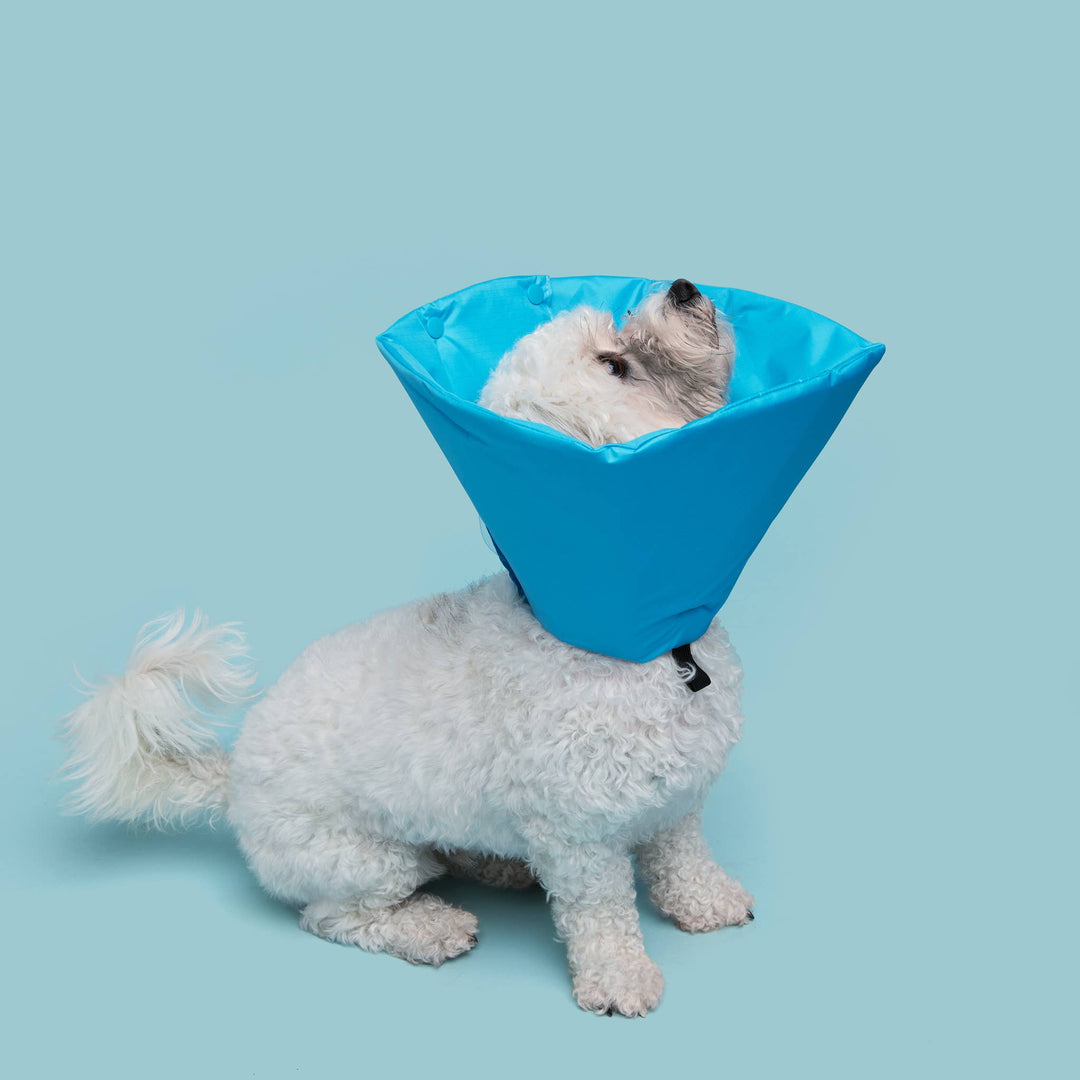 Blue Healing Cone Recovery Collar