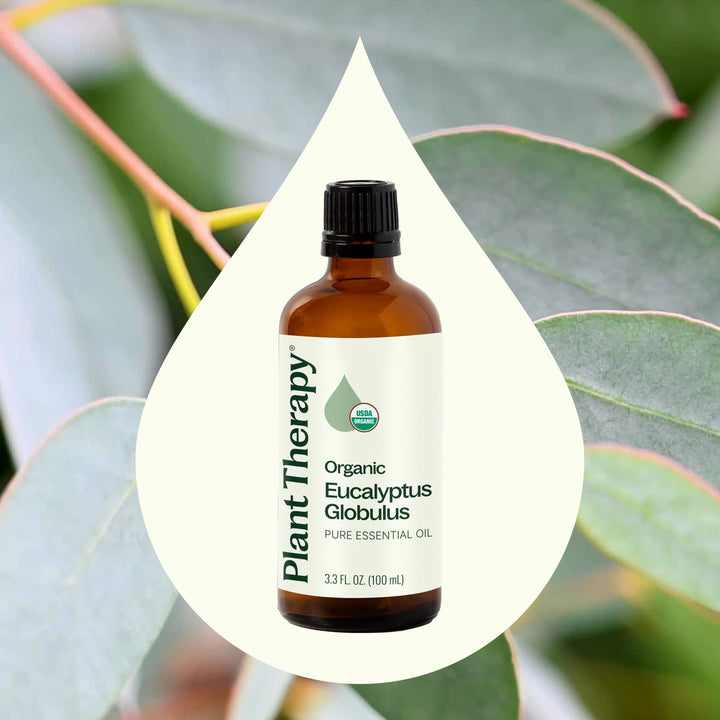 Organic Eucalyptus Globulus Essential Oil 100 mL