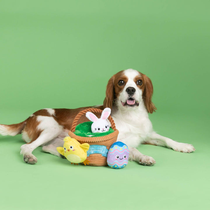 EGG HUNT SQUAD HIDE N SEEK DOG TOY