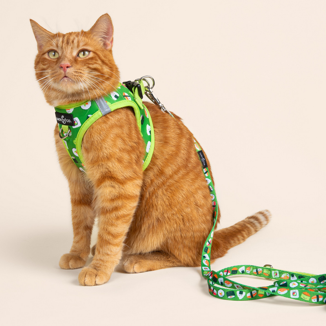 How I Roll Step-in Cat Harness