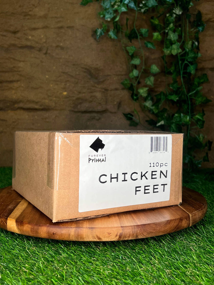 Chicken Feet 110pc Bulk Dog Chew Natural Single Ingredient