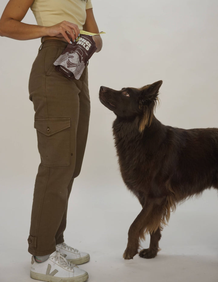 Bison Organ Blend Treats