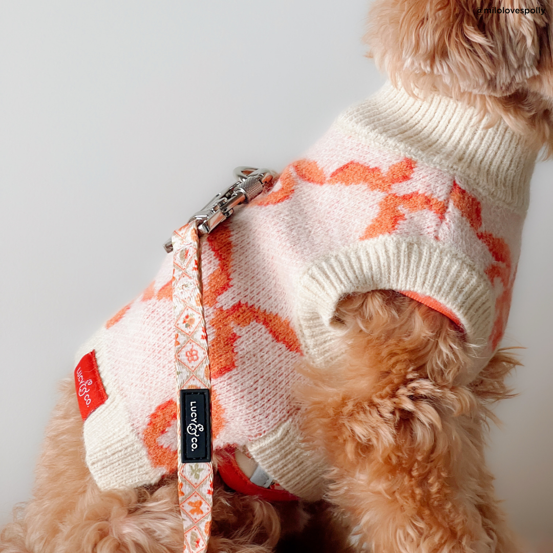 Coquette Ribbons Sweater