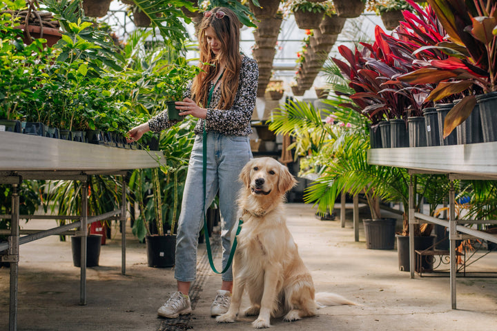 4-in-1 Wide Hands-Free Convertible Cloud Leash (3/4")