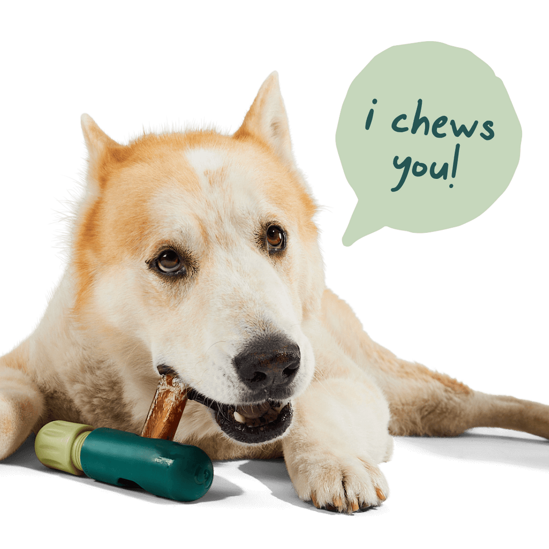 BullySafe Chews - Pure Collagen