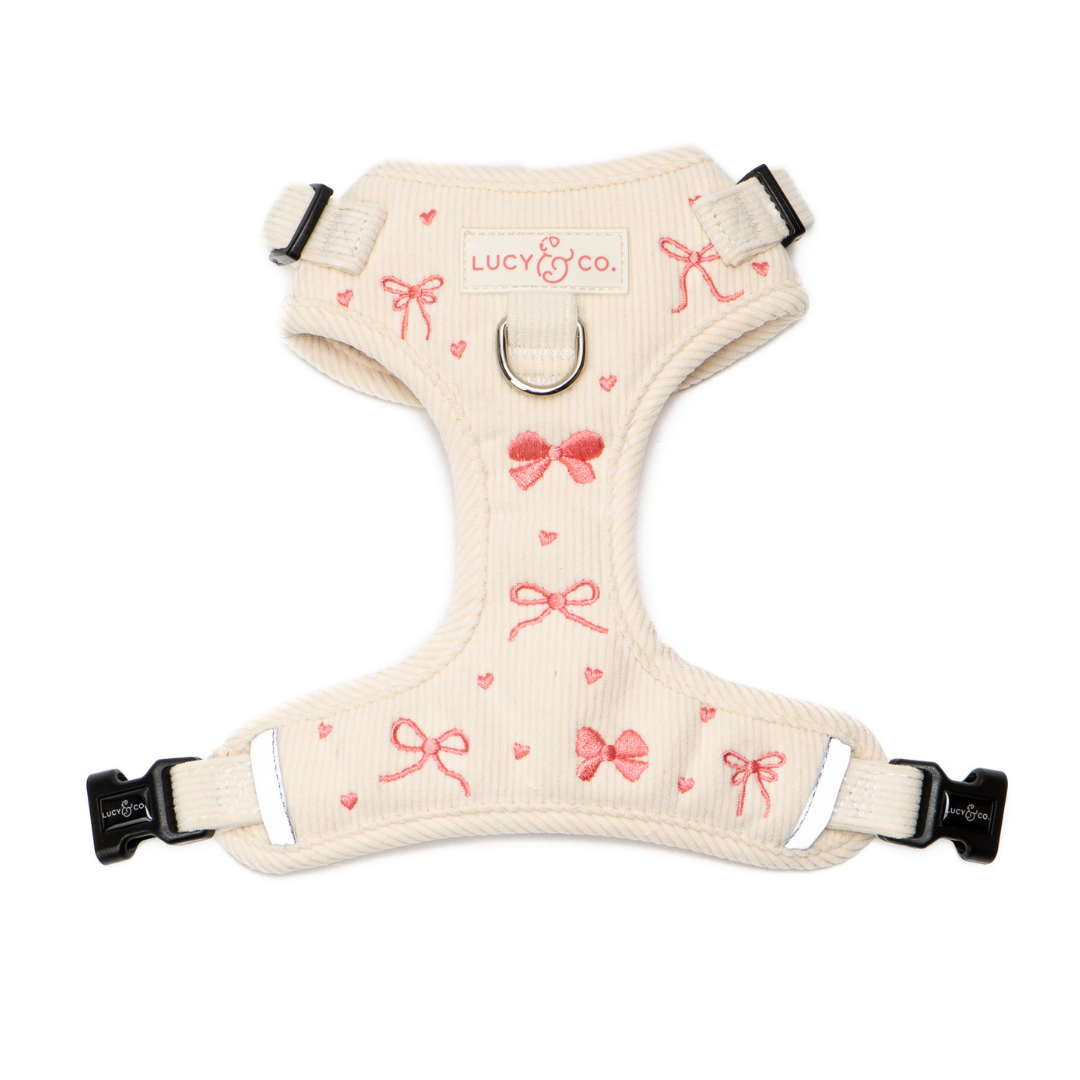 Shop All Dog Products