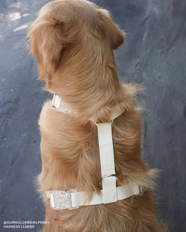 Cloud Lite Harness