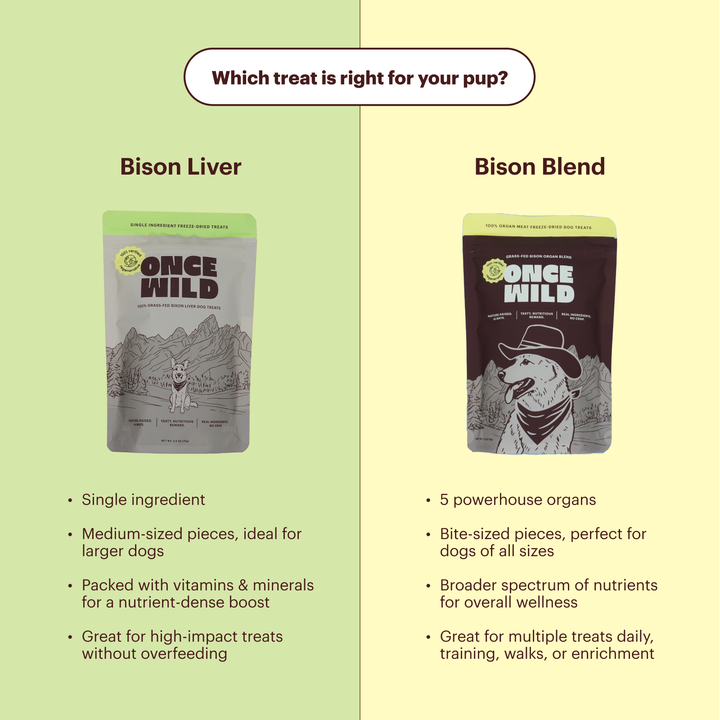 Bison Organ Blend Treats