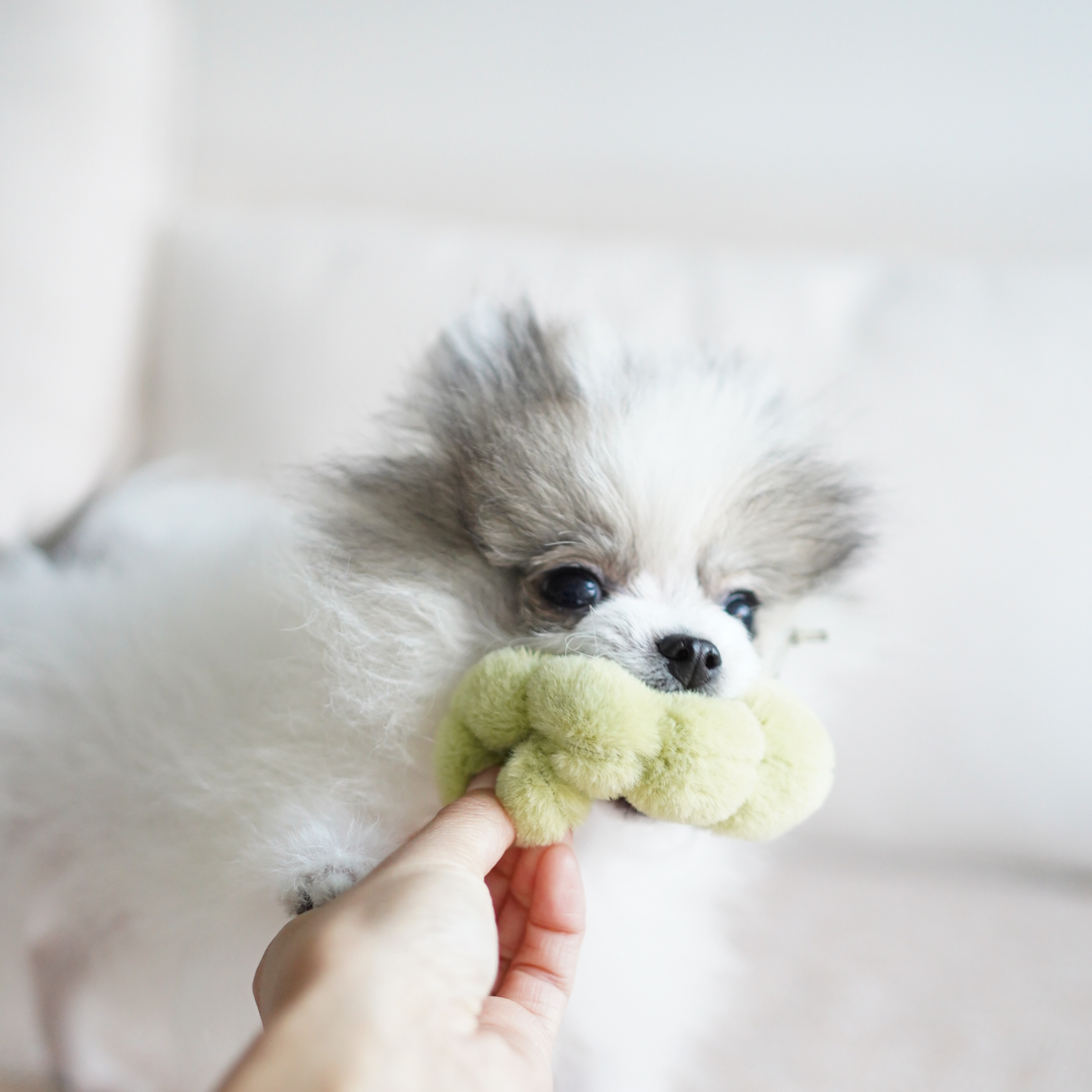 APPLE/ ENRICHMENT TOY SET// SNUFFLE TOY