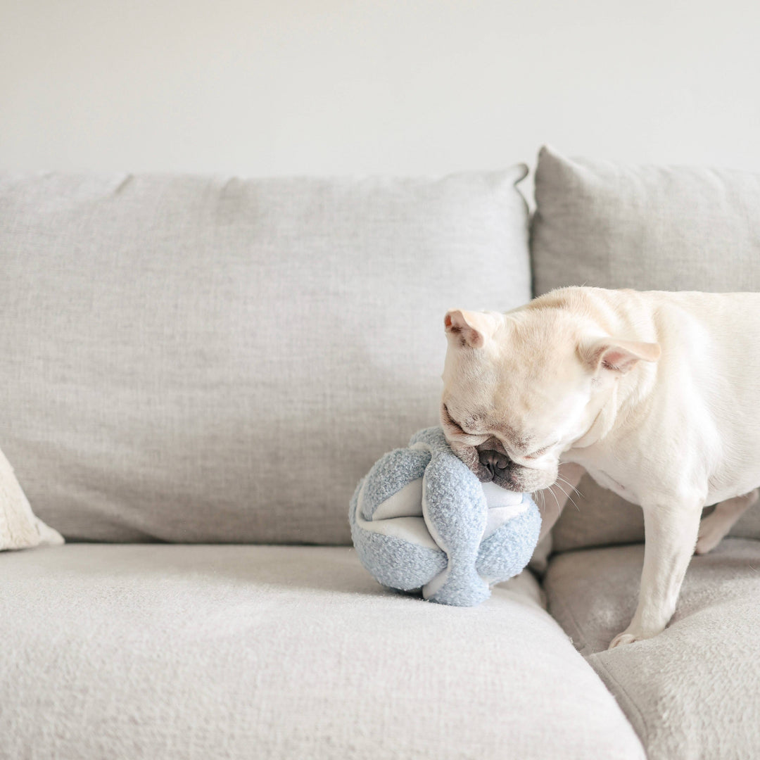 MONTI Snuffle Ball - Enrichment Toy