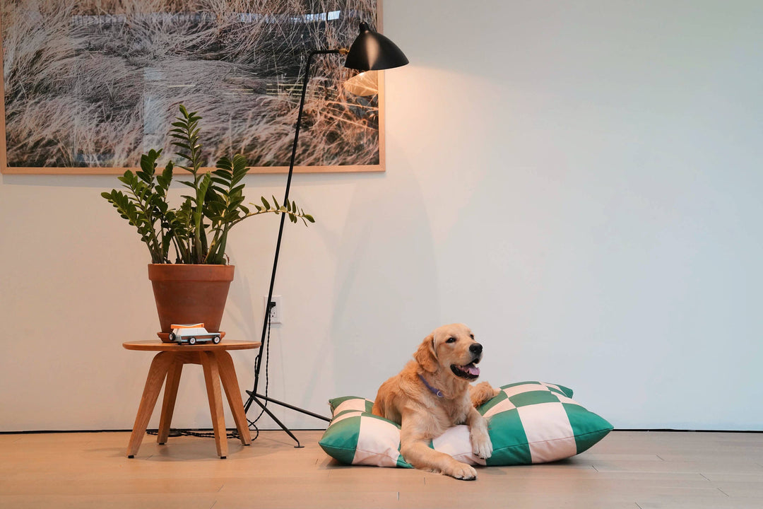 The Fritz Dog Bed | Recycled | Machine Washable