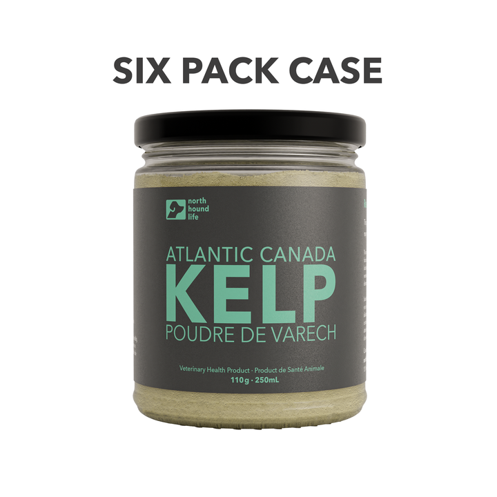 Organic Atlantic Canada Kelp