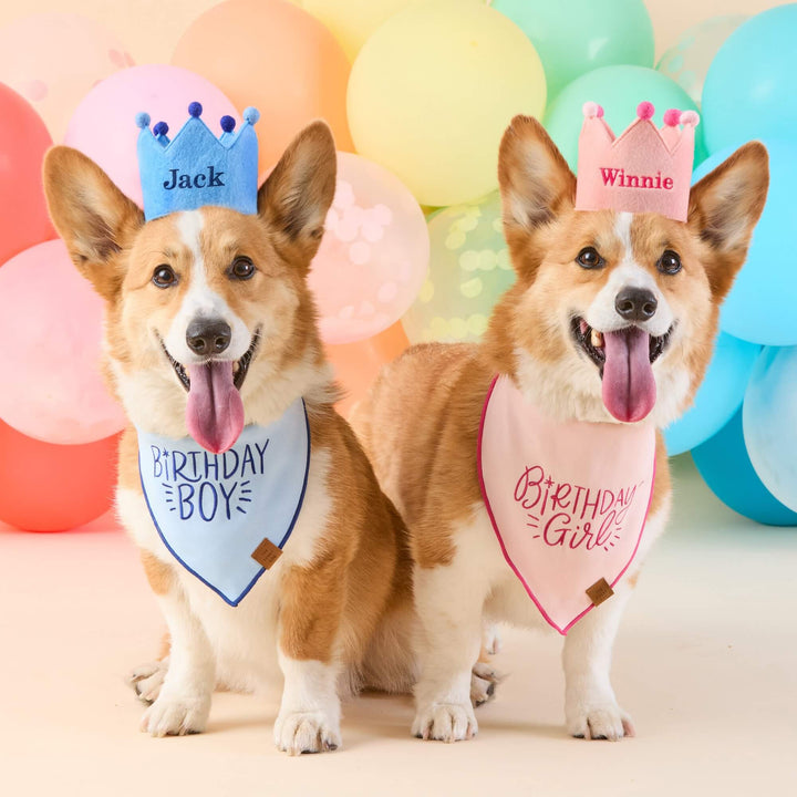 Birthday Girl Embroidered Dog Bandana
