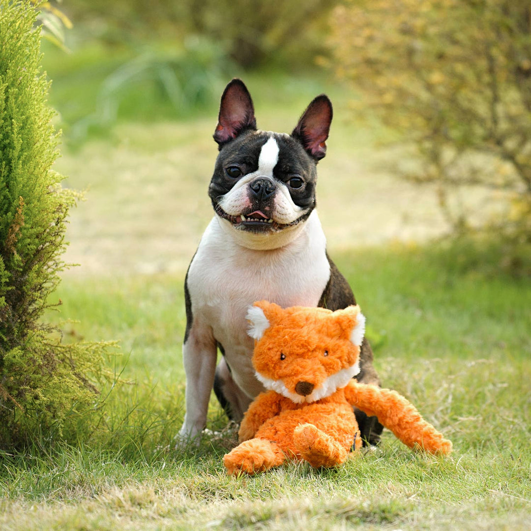 CHEWFFON Fox Puzzle Plush Dog Toy – Squeaky, Crinkle & Treat