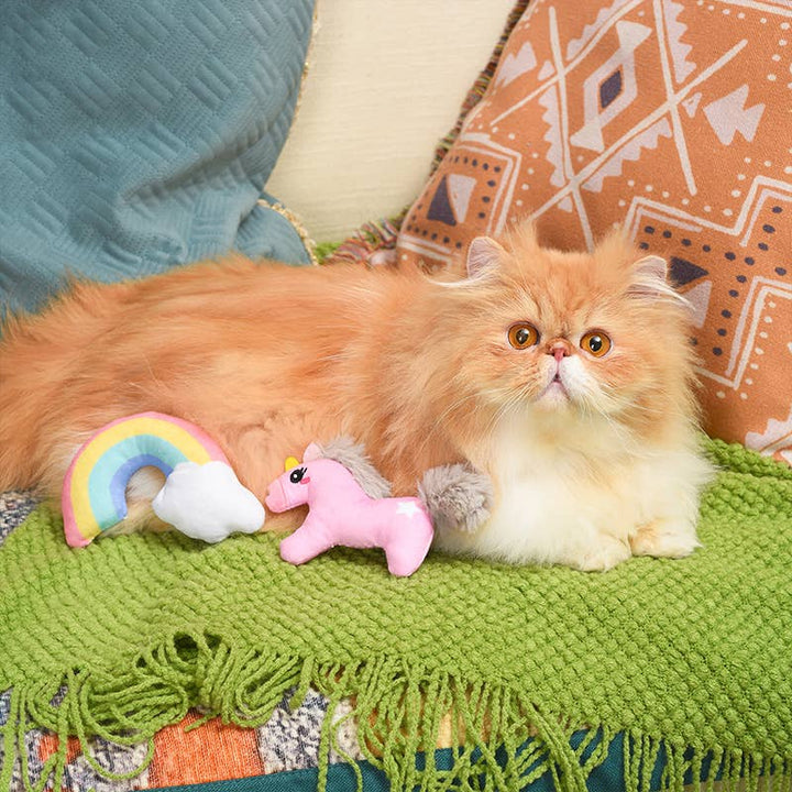 HugSmart Pet - Crazy Catcher | Unicorn & Rainbow - Cat Toy