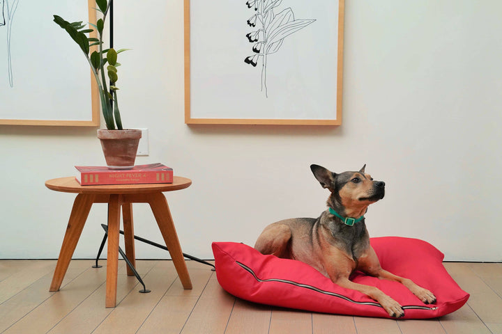 The Fritz Dog Bed | Recycled | Machine Washable