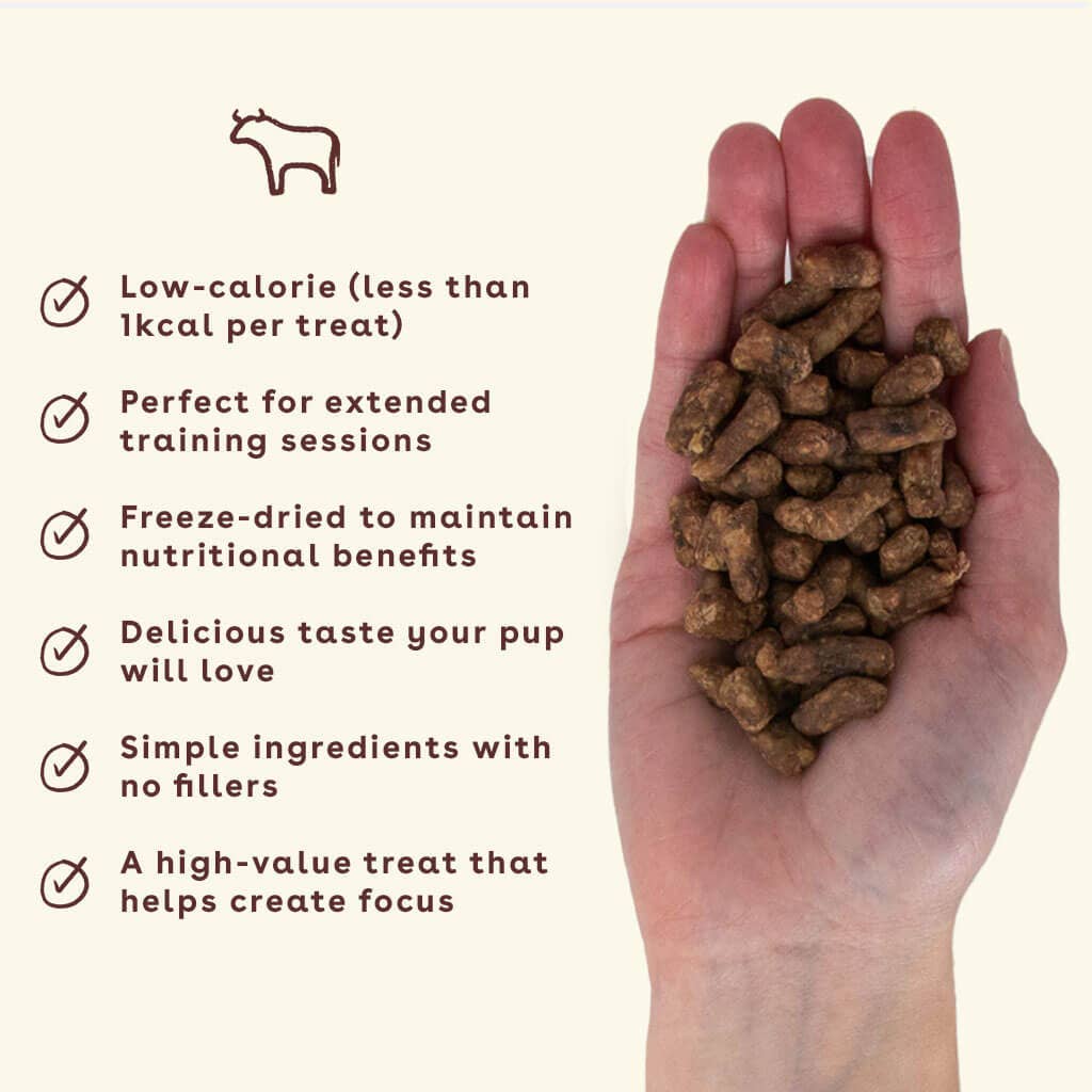 Freeze Dried Beef Liver Training Treats 4oz