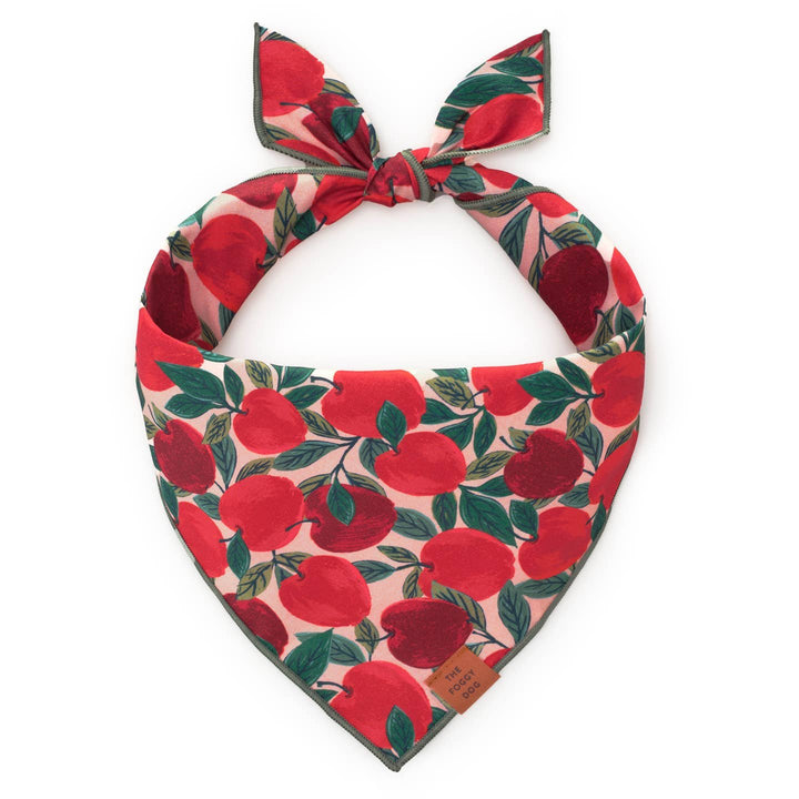 Apple of My Eye Bandana