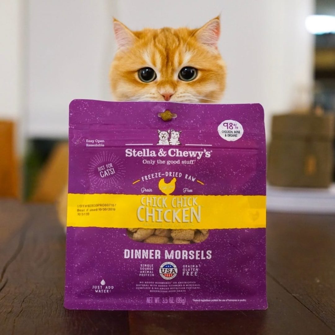 Freeze-Dried Raw Dinner Morsels for Cats - Chick, Chick Chicken (18 oz)