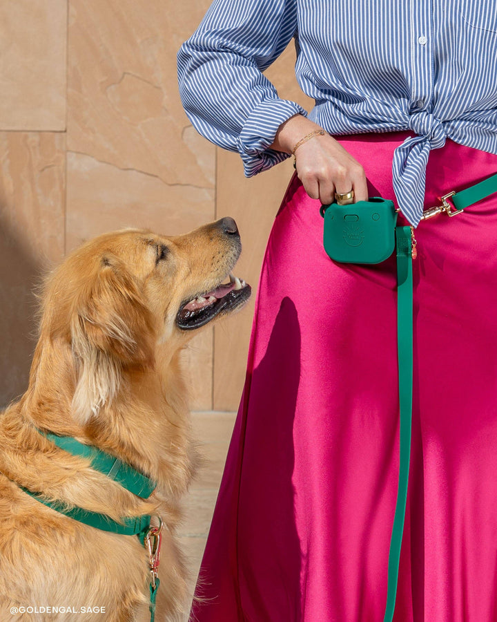 Meadow Green Snap Dog Treat Pouch