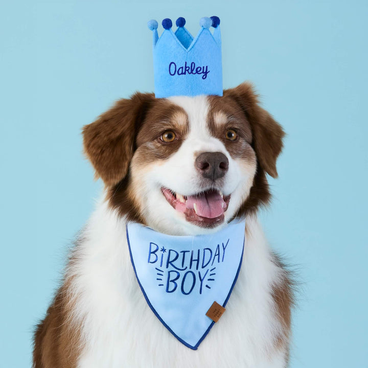Birthday Boy Embroidered Dog Bandana