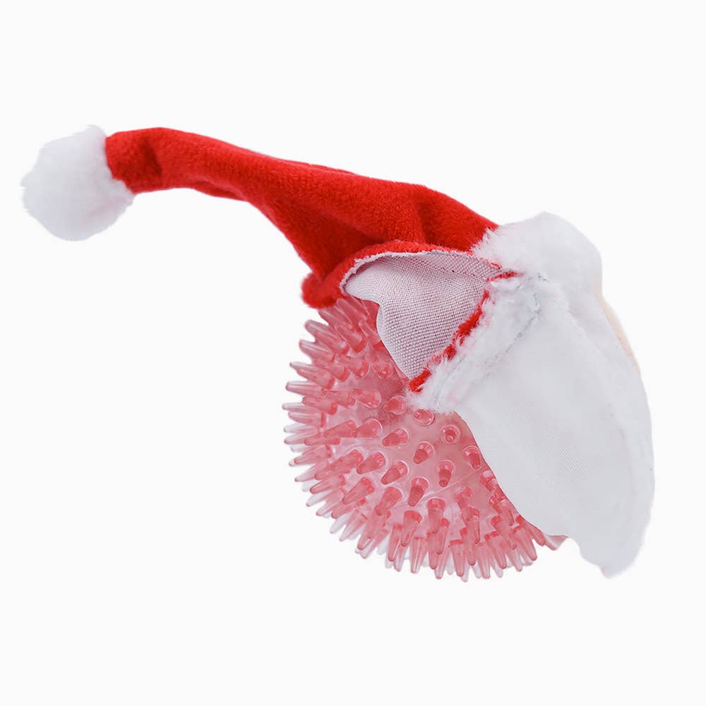 Santa - Ball Toy