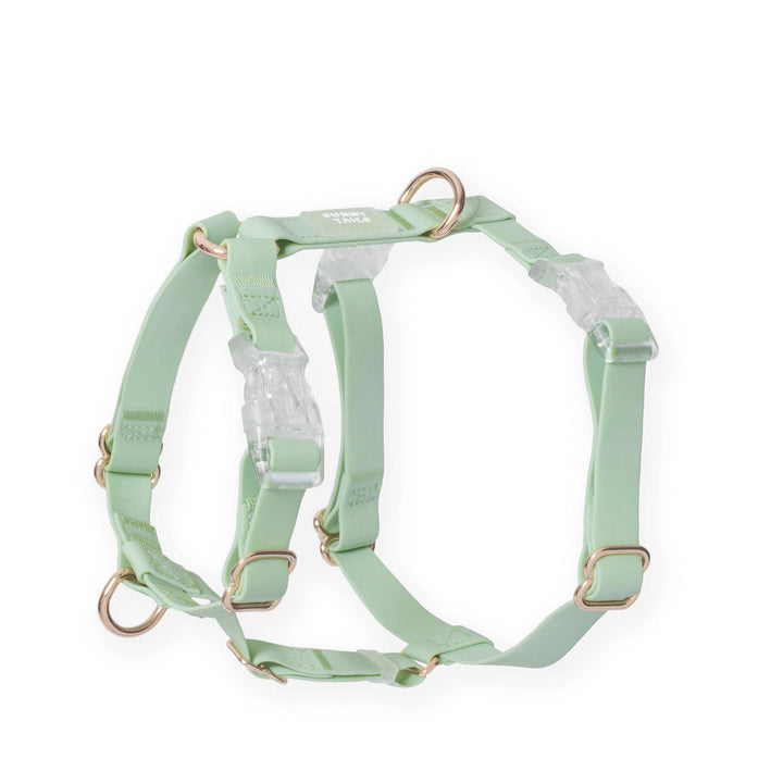 Cloud Lite Harness