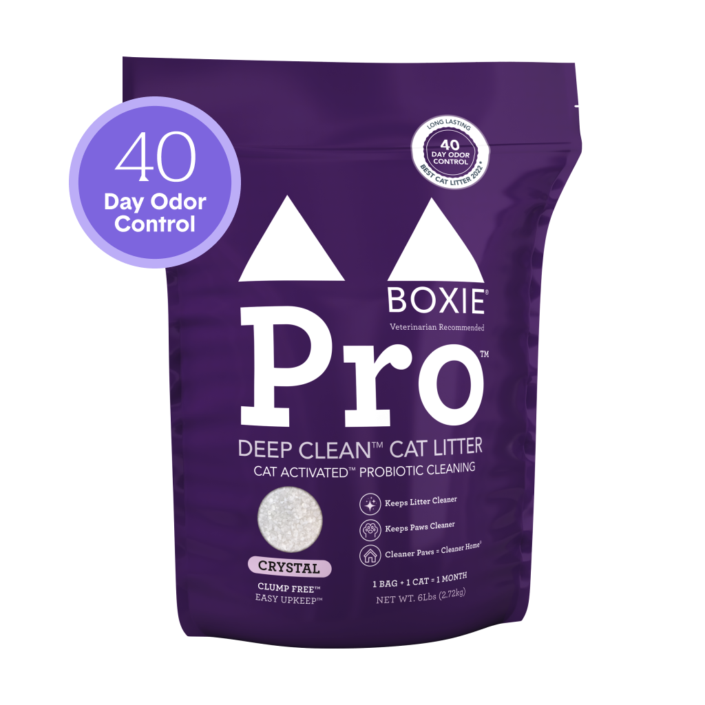 Shop All Cat Products