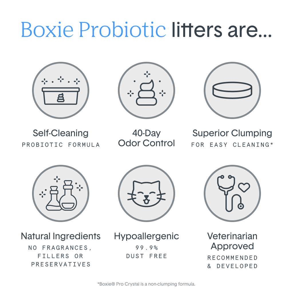 BoxiePro® Self-Cleaning Probiotic Crystal Non-Clumping Cat Litter
