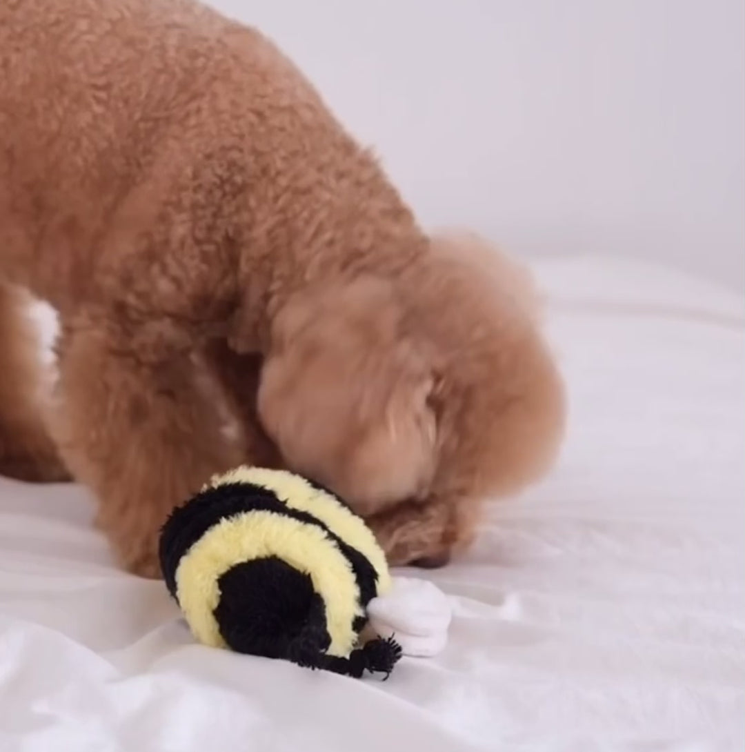 Bee Pop - Enrichment Toy