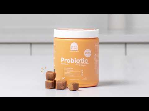 Probiotic Supplement Chews for Dogs