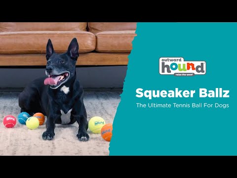 Squeaker Ballz Squeaky Tennis Balls