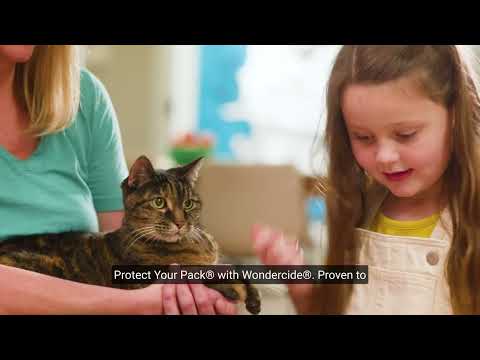 Flea & Tick Spot On for Dogs + Cats with Natural Essential Oils