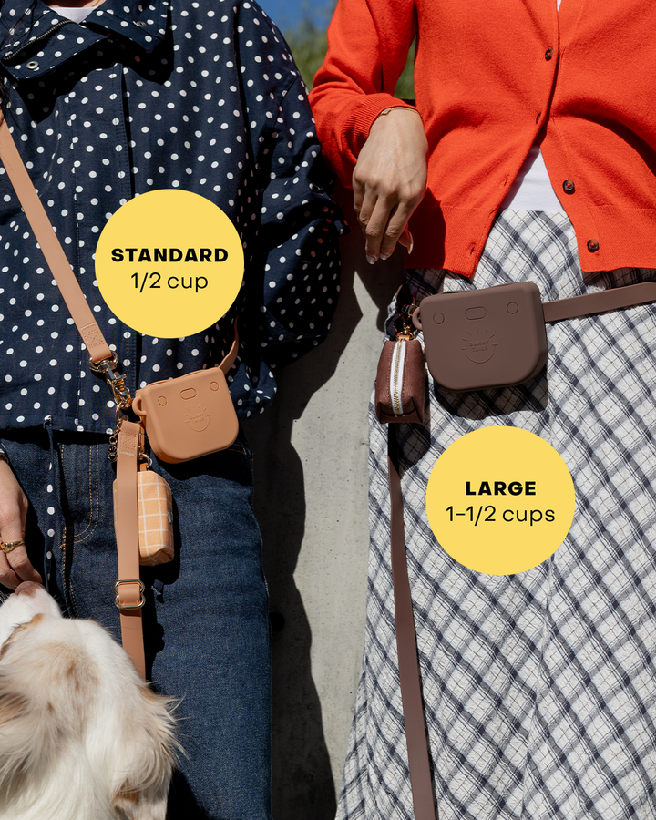 Snap Dog Treat Pouch