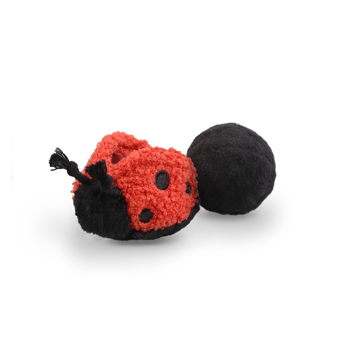 Ladybug Pop - Enrichment Toy