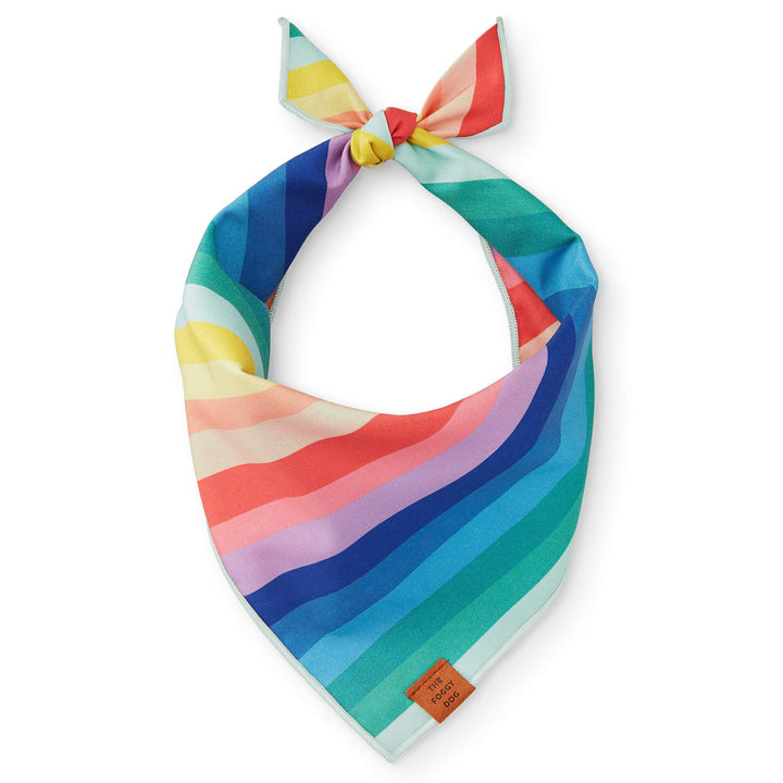 Over the Rainbow Bandana