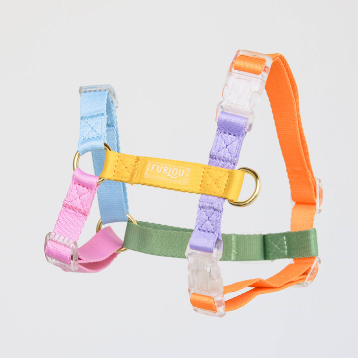 Rainbow Harness