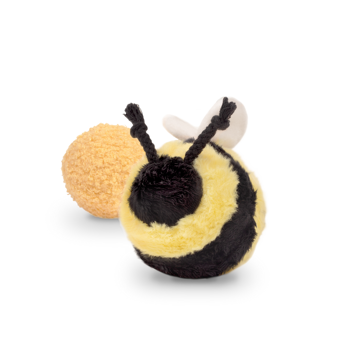 Bee Pop - Enrichment Toy