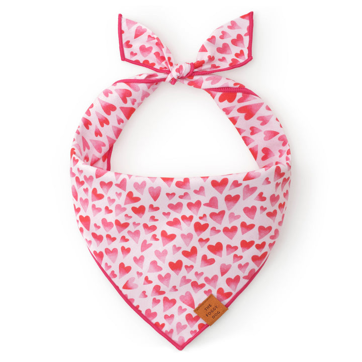 Heart Throb Valentine's Day Bandana