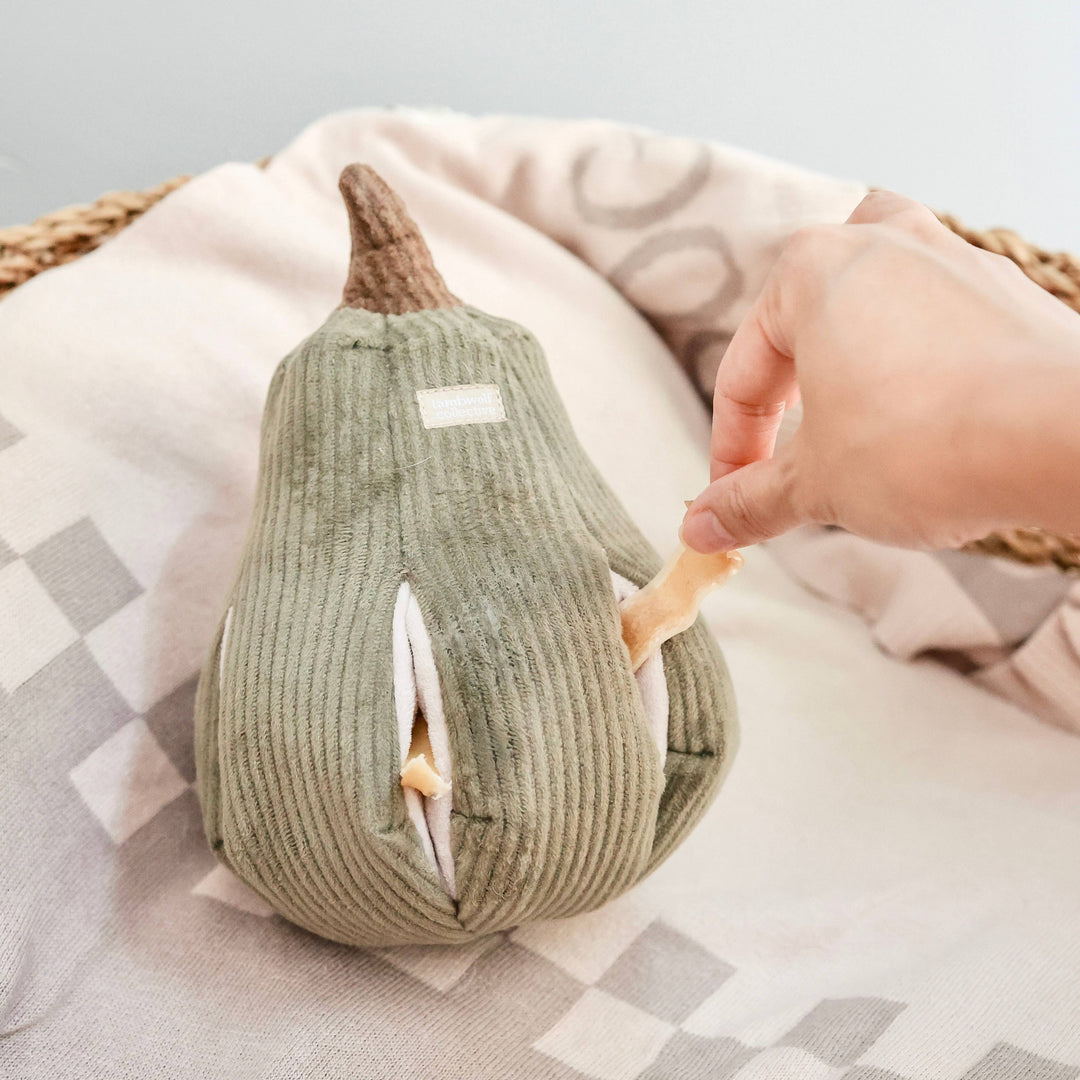 Butternut Squash - Enrichment Toy