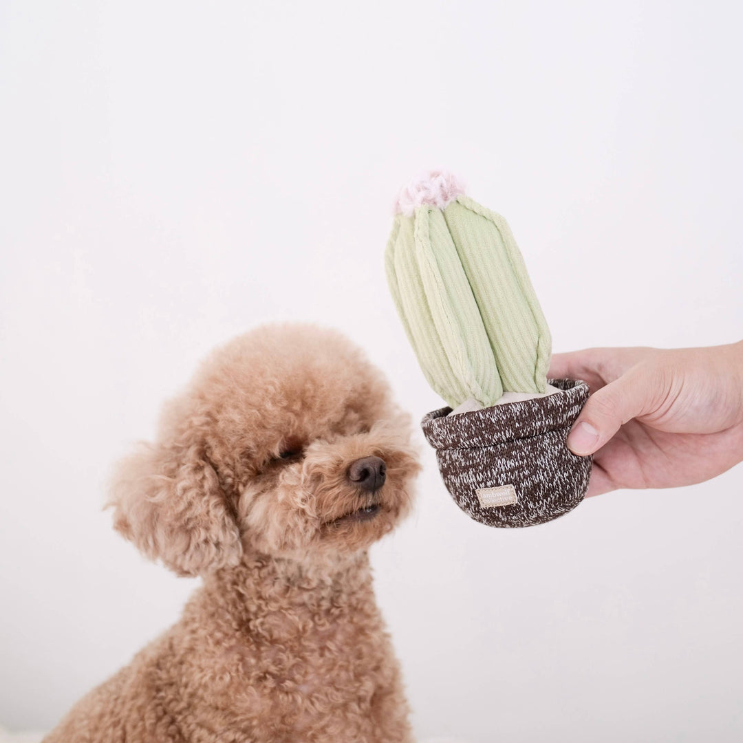 Cactus - Enrichment Toy