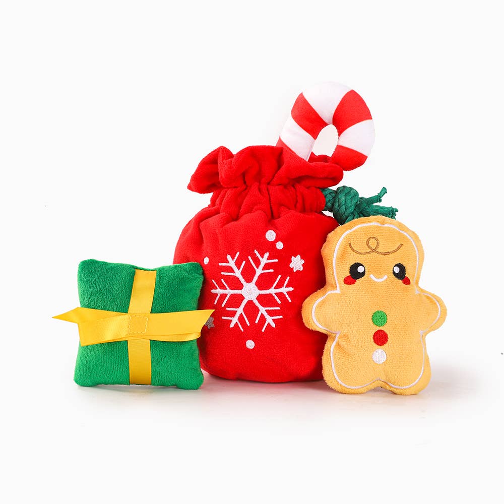 Christmas Gift Bag - Plush Toy Set
