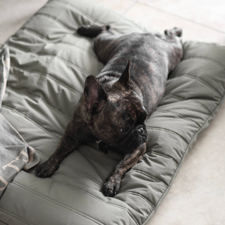 MAATIN Rectangular Pet Bed